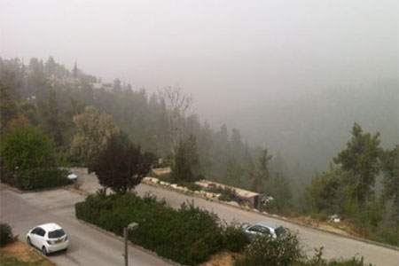 فلسطين المحتلة .. الطقس: رياح في النهار وأمطار في المساء