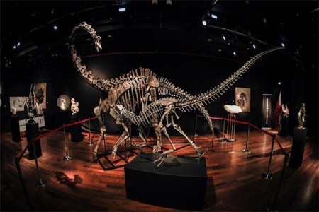 كائنات عاشت على الأرض قبل حوالي 150 مليون سنة