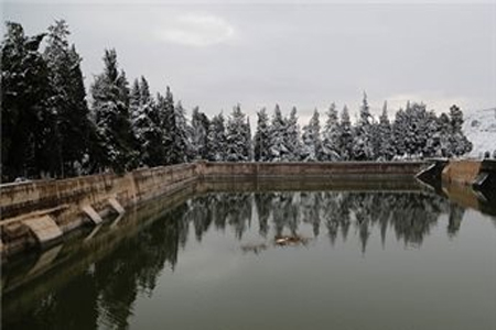 فلسطين المحتلة .. الارصاد تحذر من تشكل الصقيع