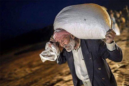 رحلة البحث عن الطعام