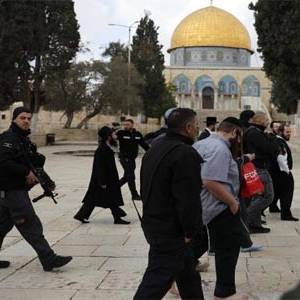 المستوطنون يجددون اقتحامهم للأقصى 