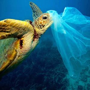 5 آلاف مليار كيس بلاستيكي ترمى سنوياً حول العالم