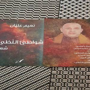 ديوان شواطئ اللظى في ندوة اليوم السابع