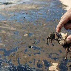 دراسة خطيرة: الارض في مواجهة 